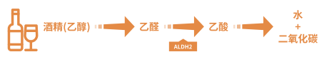 微信图片_2026-06-17_092208_033.png
